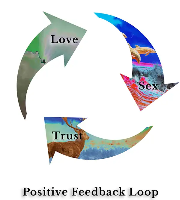 Positive Feedback Loops