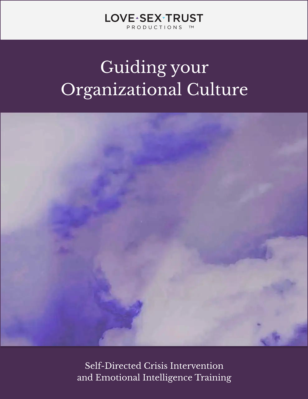 Guiding-Your-Organizational-Culture-1